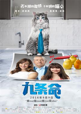 国产成人精品久久久久大片